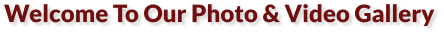 Welcome To Our Photo & Video Gallery
